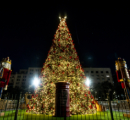 árbol de navidad con luces encendidas